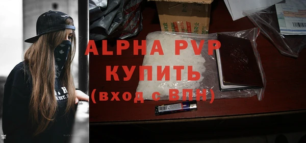 крисы Баксан