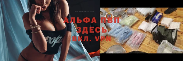 крисы Баксан