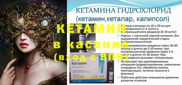 крисы Баксан