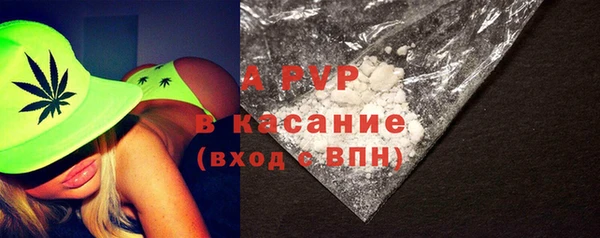крисы Баксан