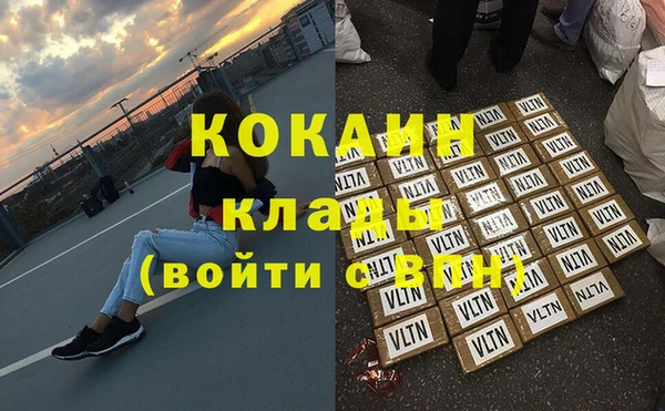 крисы Баксан