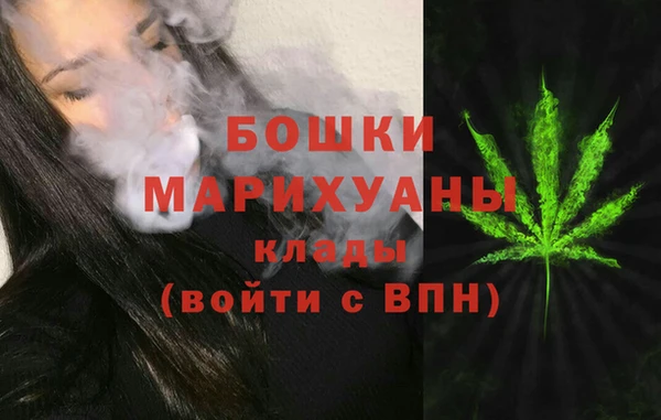 крисы Баксан